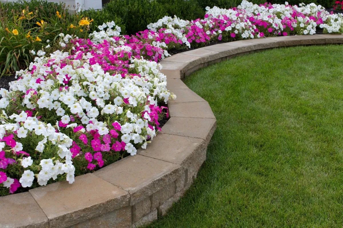 Curved stone garden border with pink and white flowers