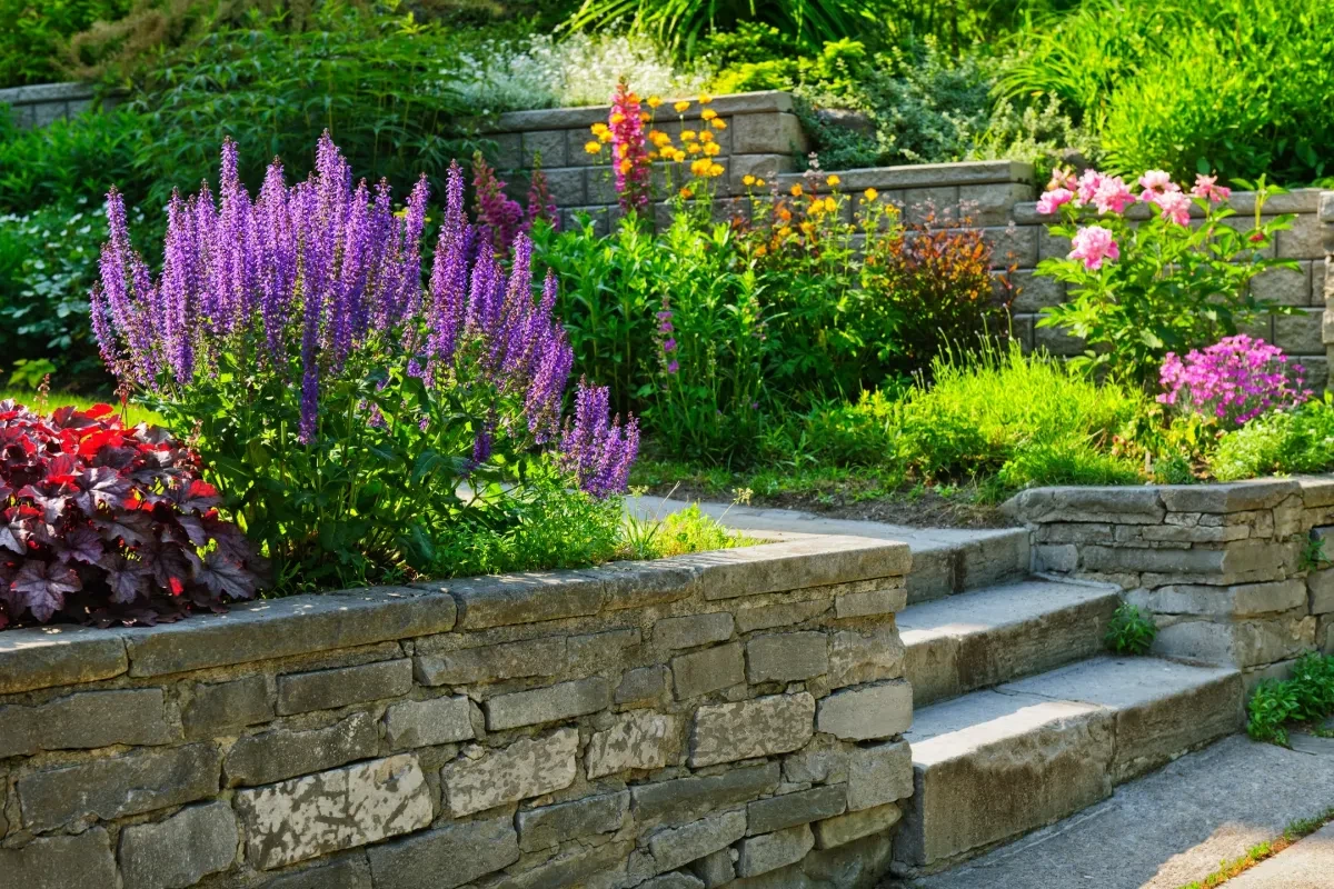 Terraced stone garden with purple salvia and colorful flowers