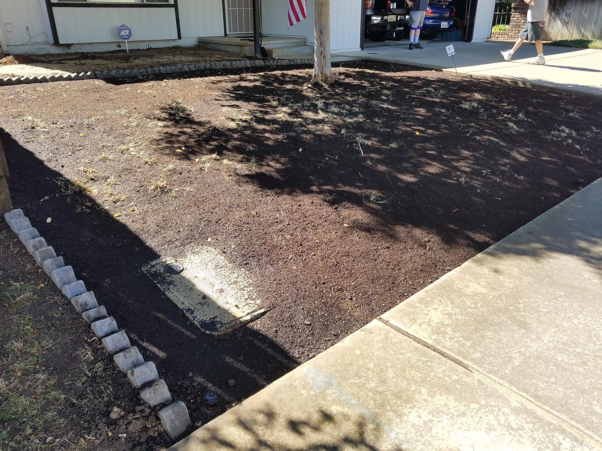 Landscape project — September 2018
