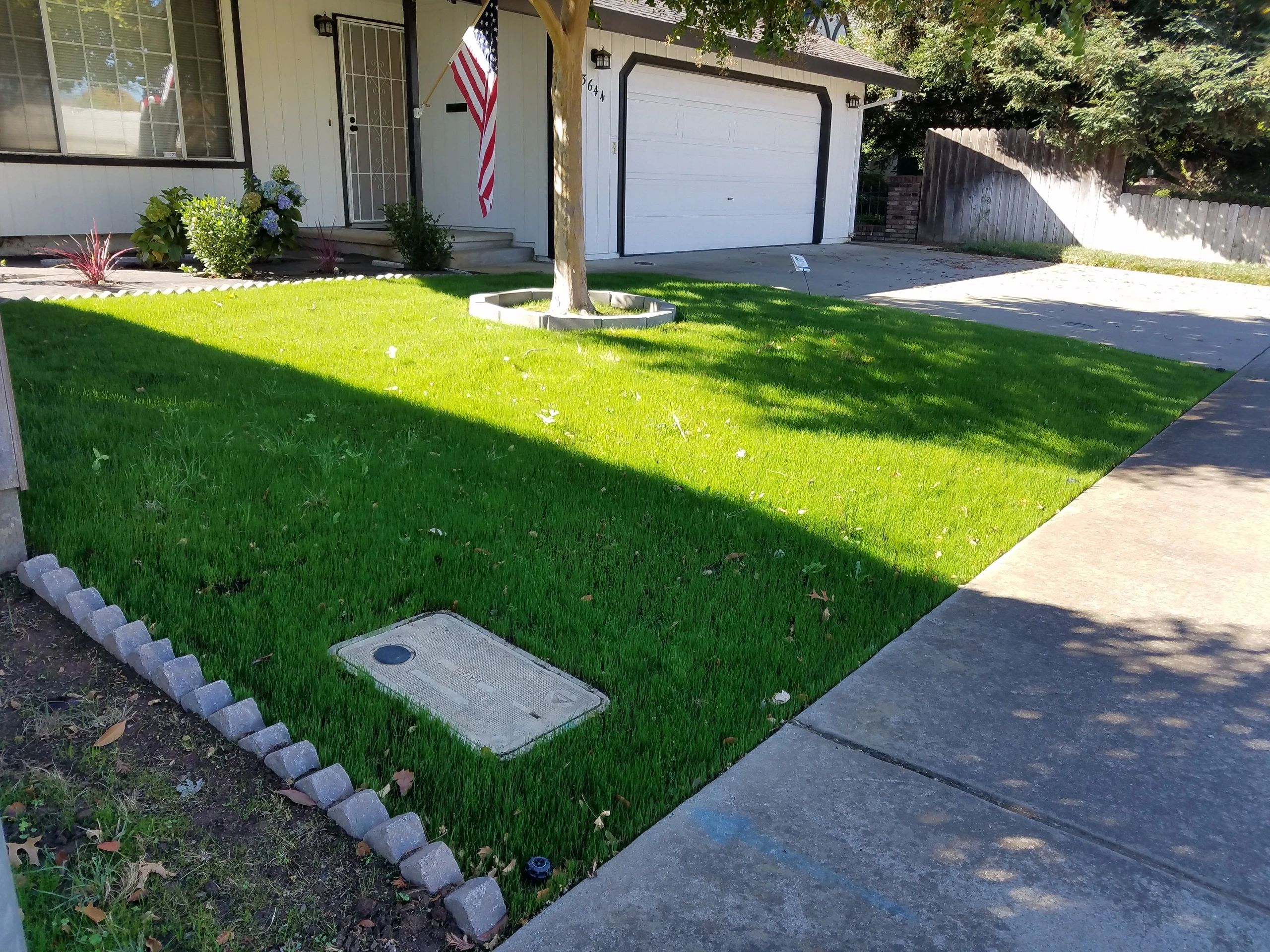 Landscape project — October 2018