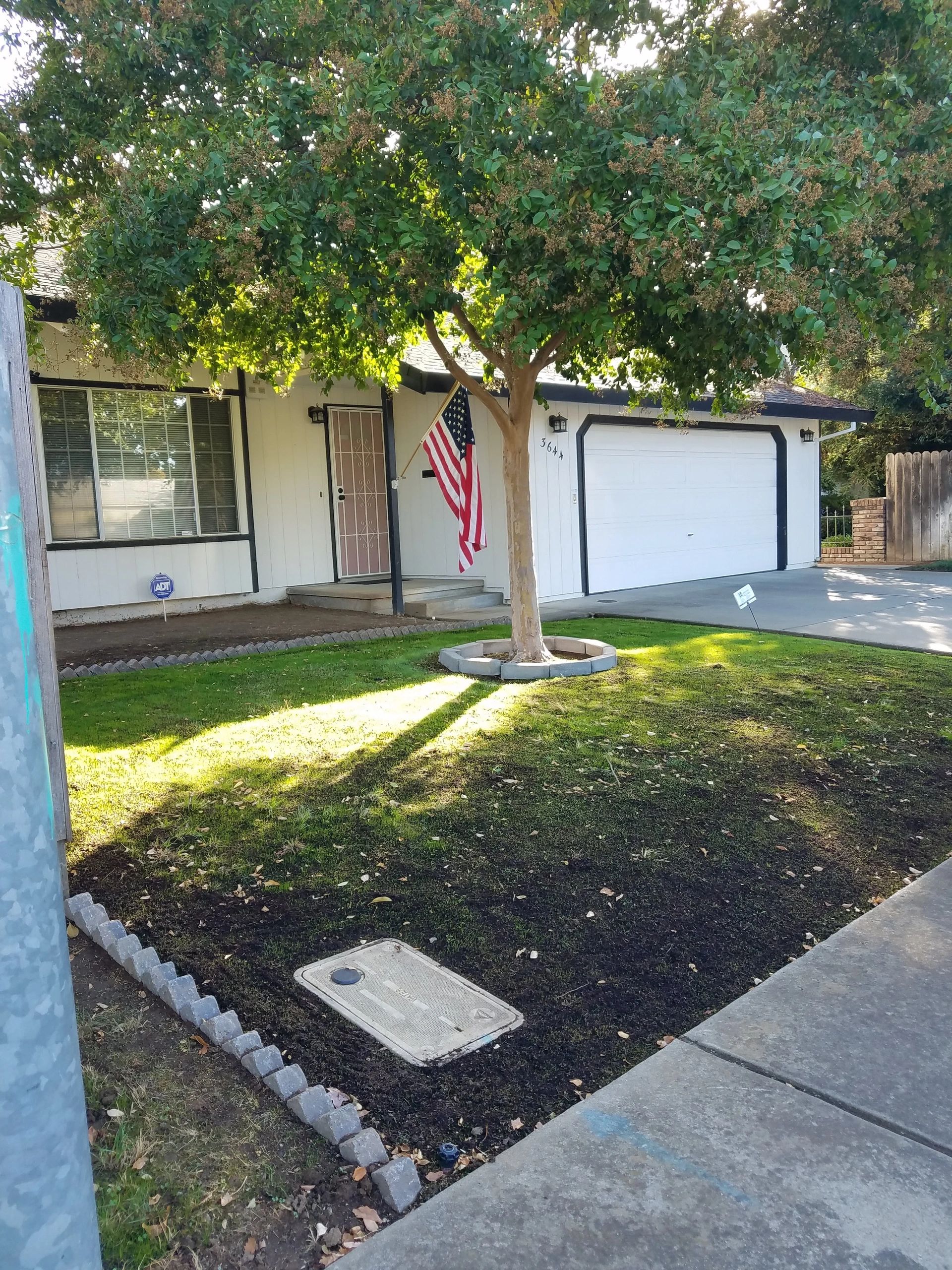 Landscape project — September 2018