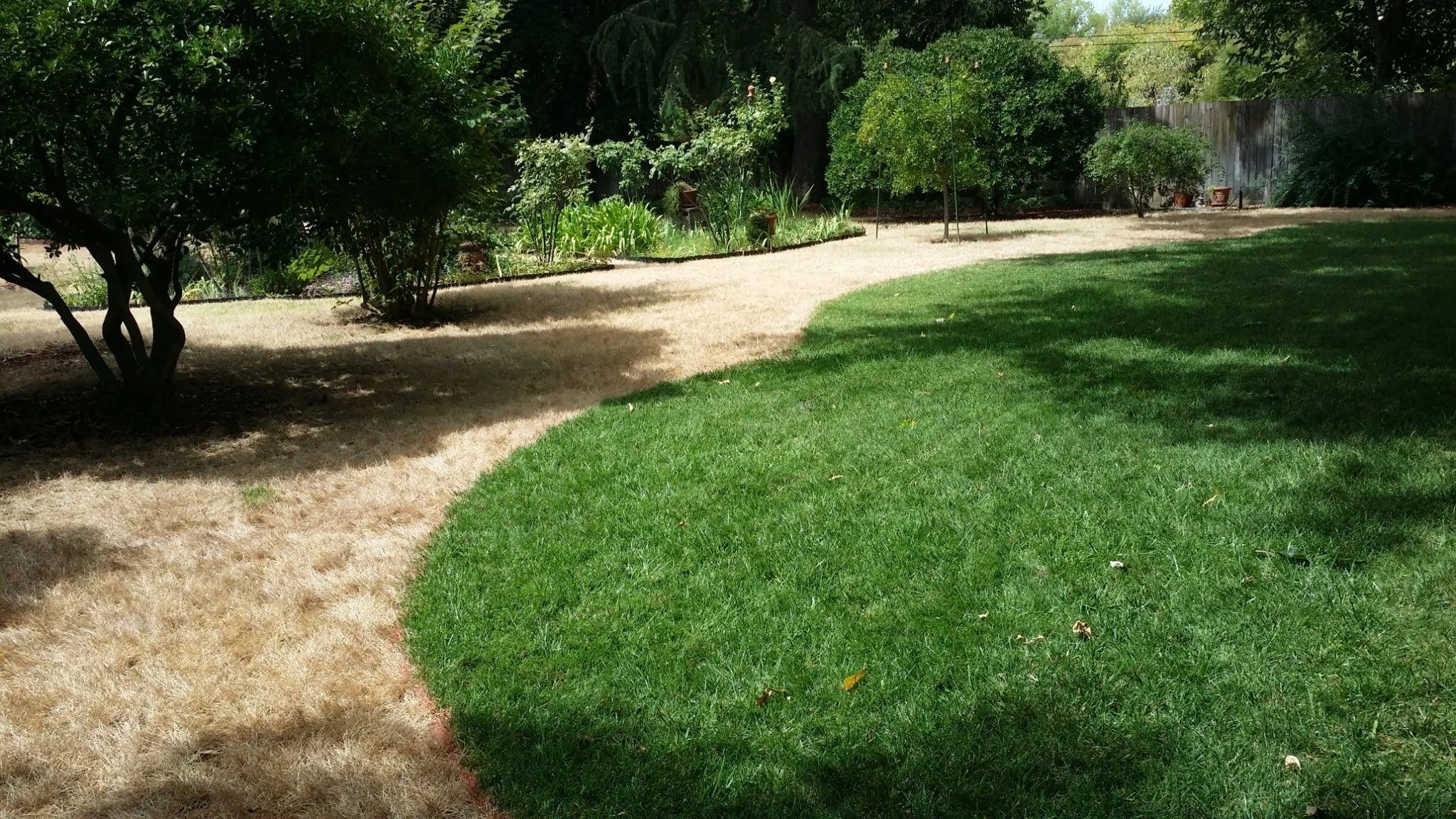 Landscape maintenance project